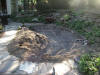 All stones removed - planning begins
