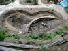 The bog will be in the lower right section of the pond