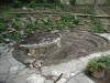 The bog takes shape