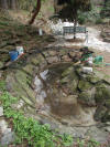 Pond after a short (leaky!) time
