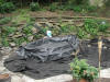 The bog liner goes in first